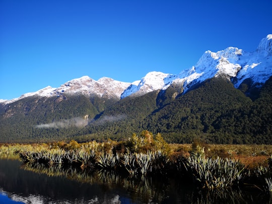 trees near mountain during daytime in Mirror Lakes New Zealand