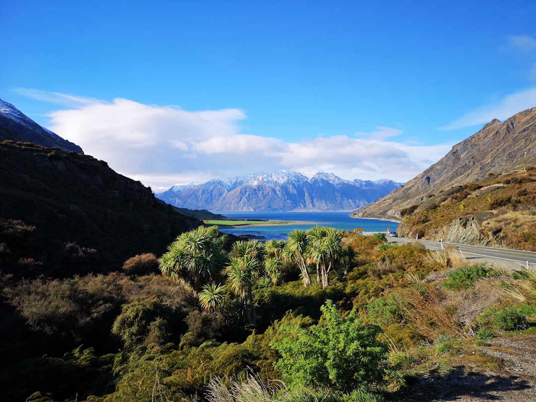 Nature reserve photo spot Lake Hawea New Zealand