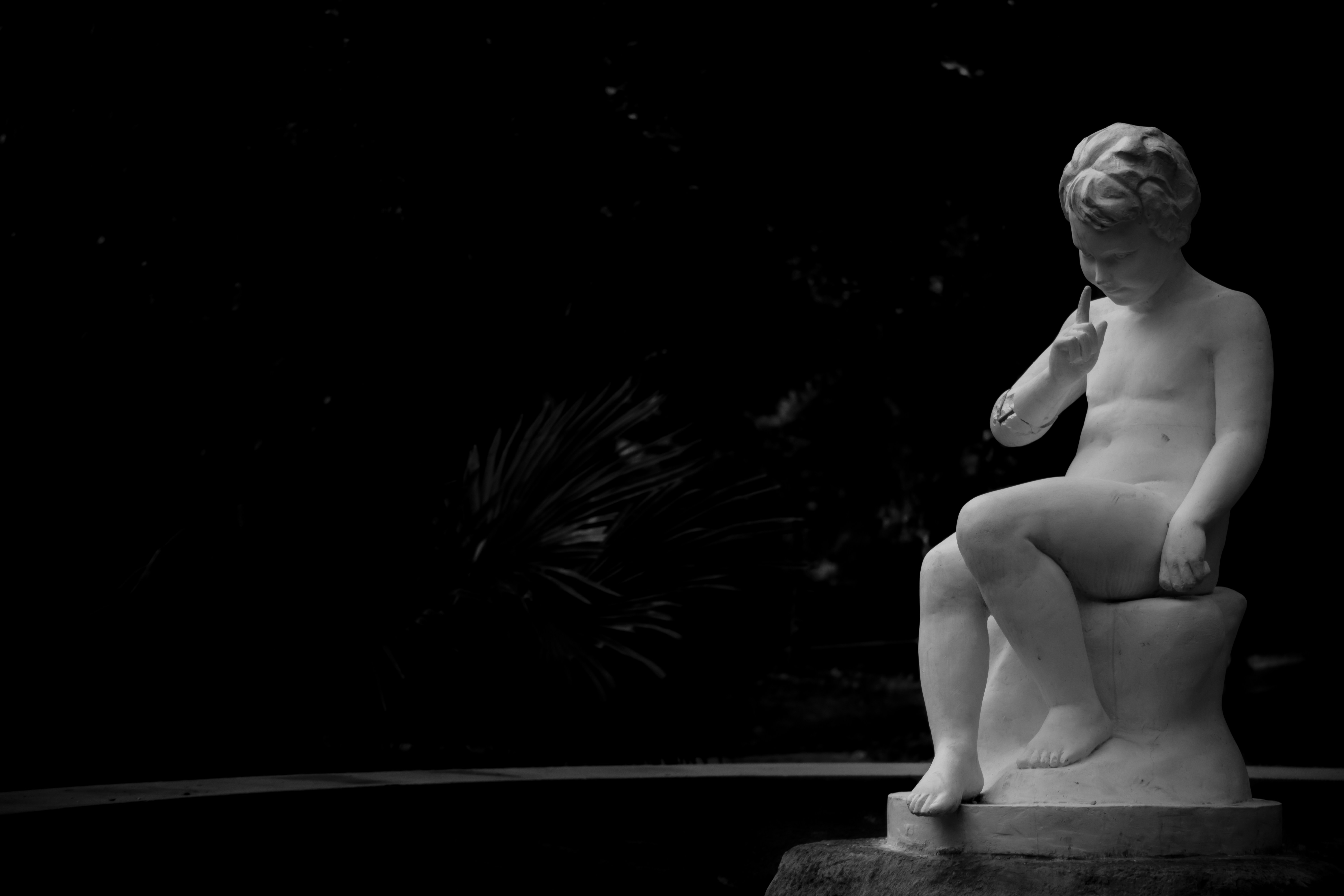 Photo by mostafa_meraji