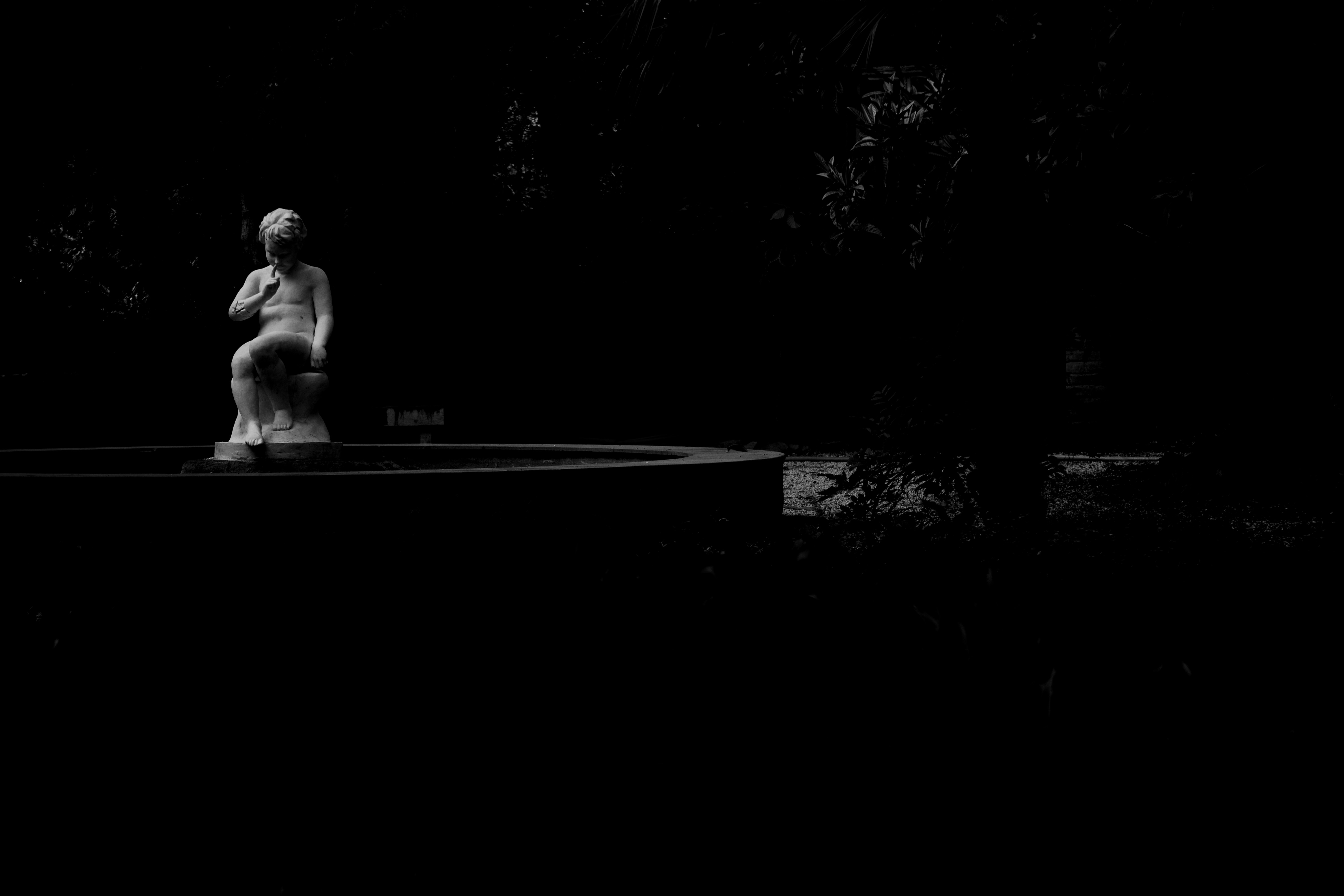 Photo by mostafa_meraji