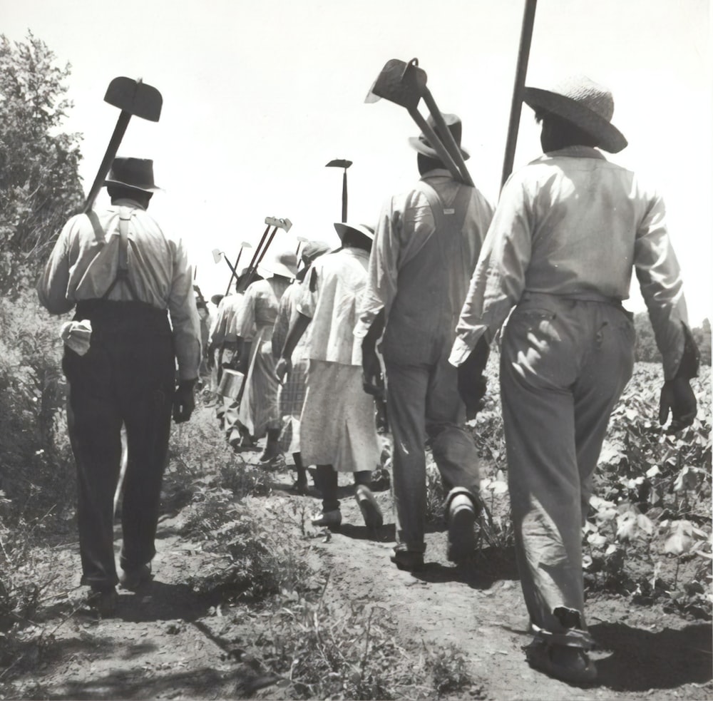 gruppo di persone che camminano