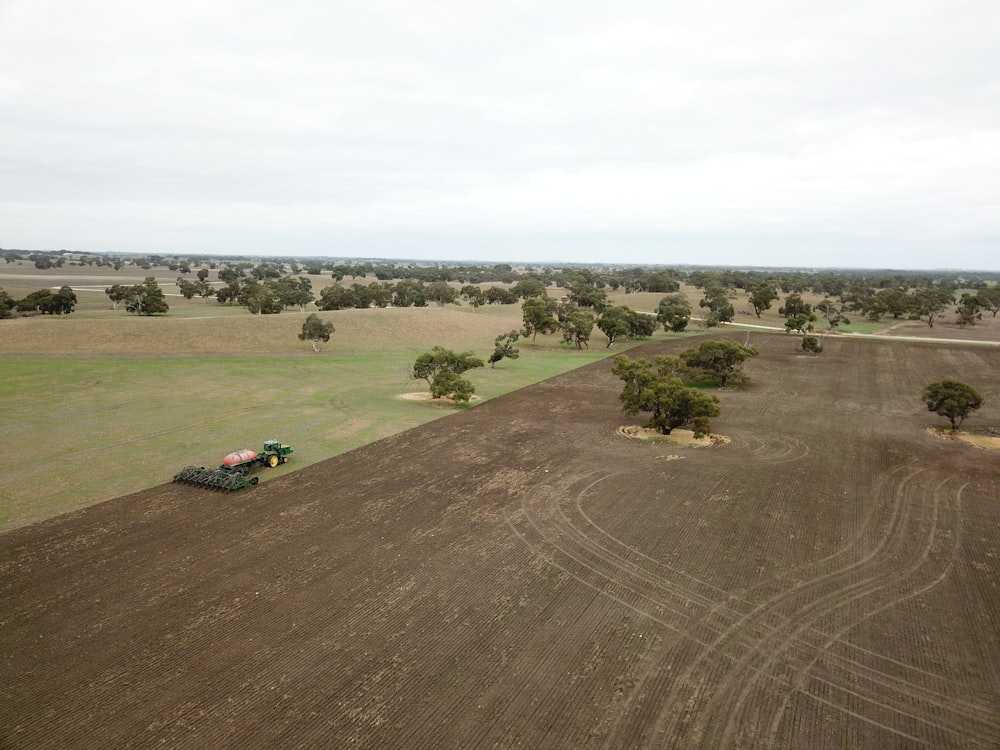 green trees in field near house