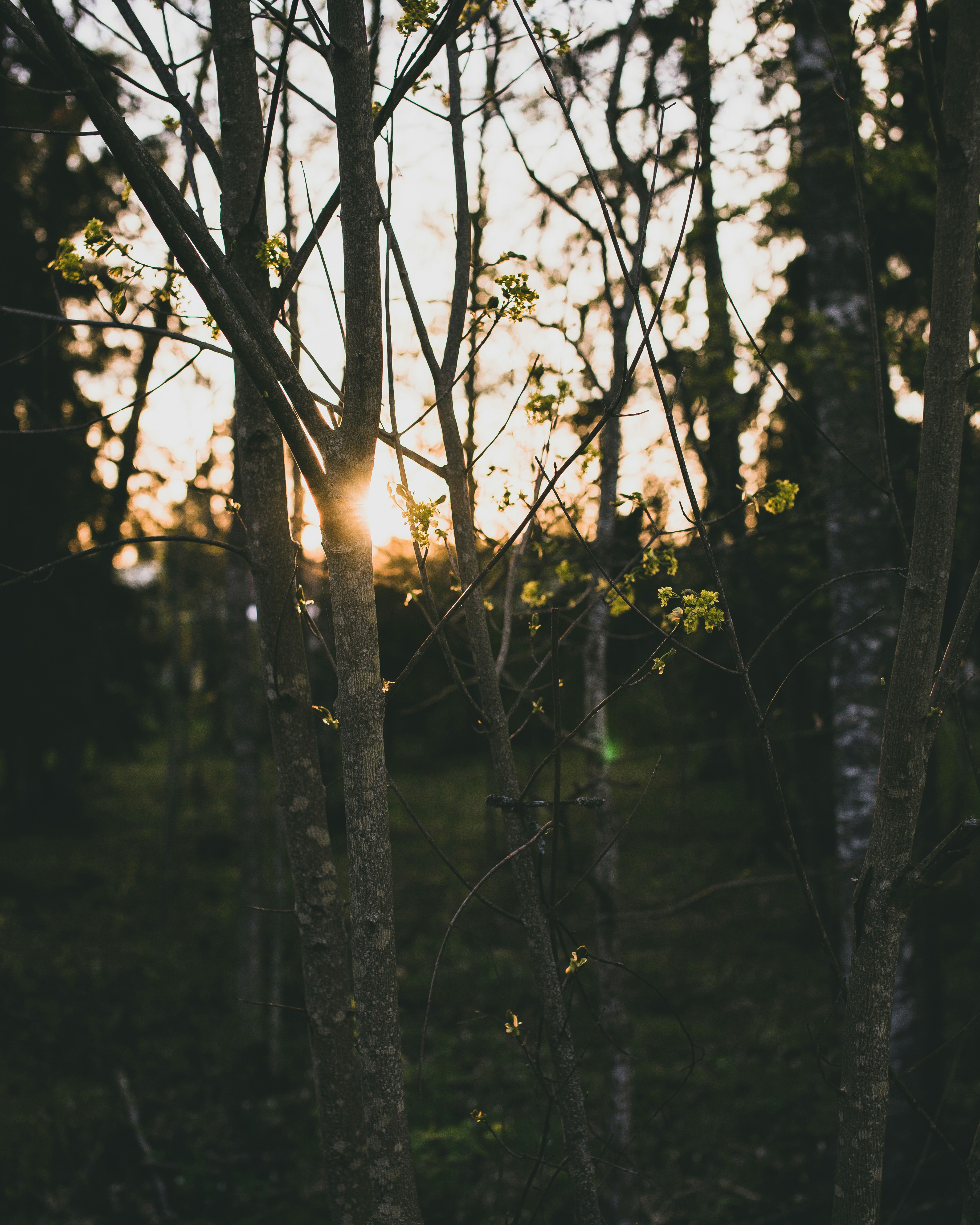 Photo by alex_photogram