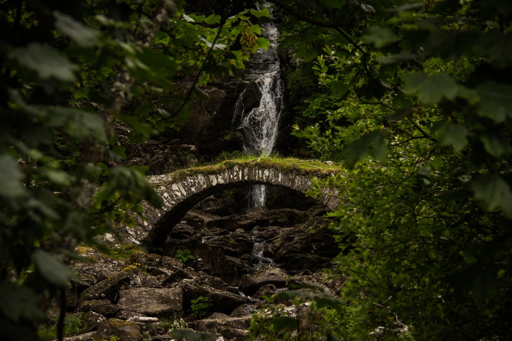 Puente de hormigón gris durante el día