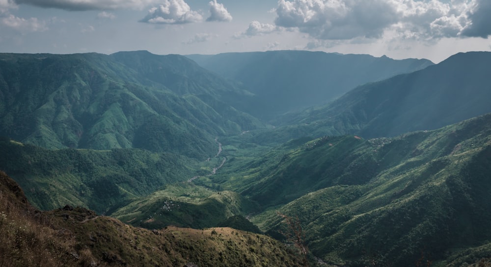 green-leafed trees covered mountain