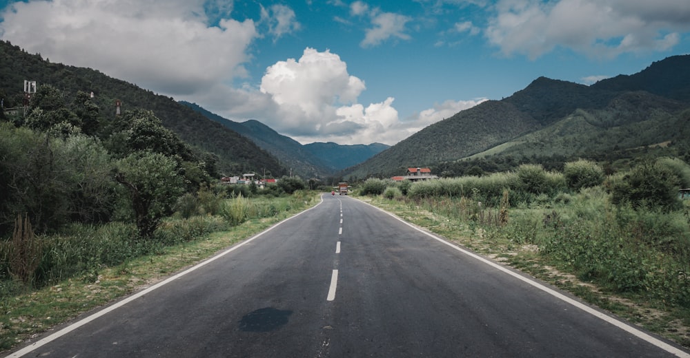 road between plants