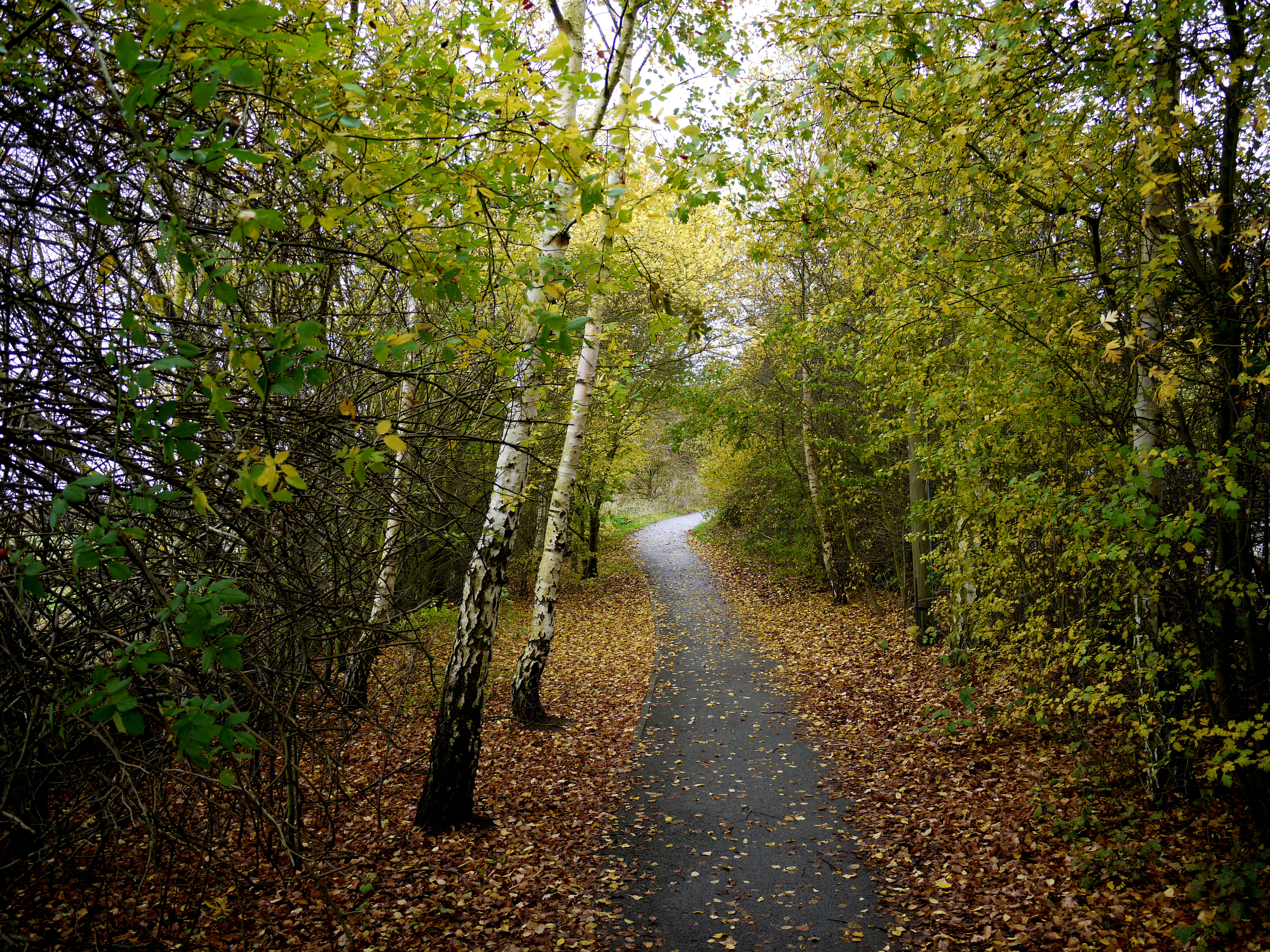 Photo by brett_jordan