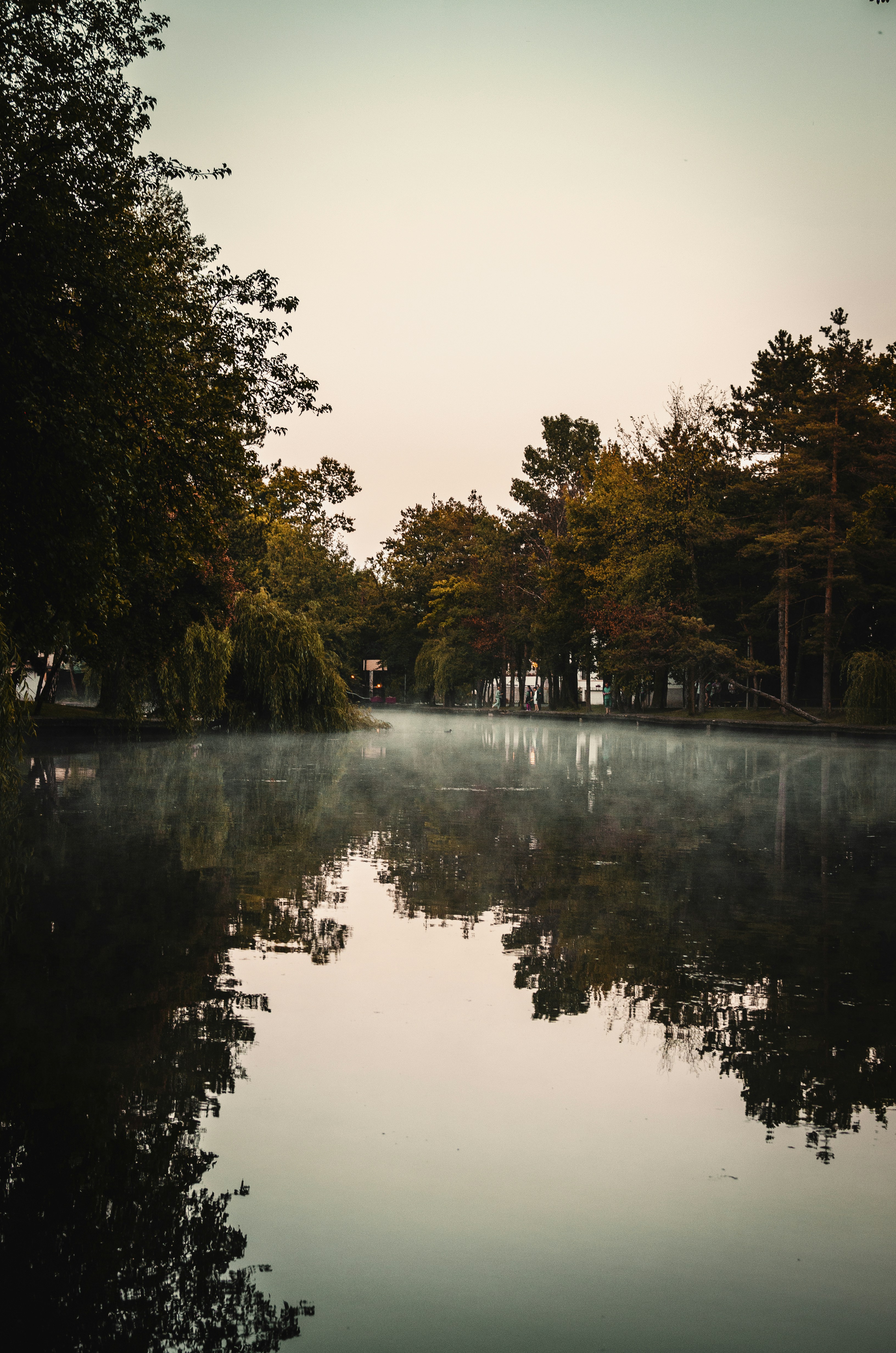 Photo by mihai14