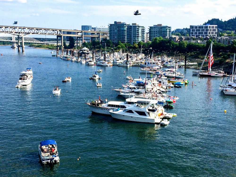 sail boats in body of water