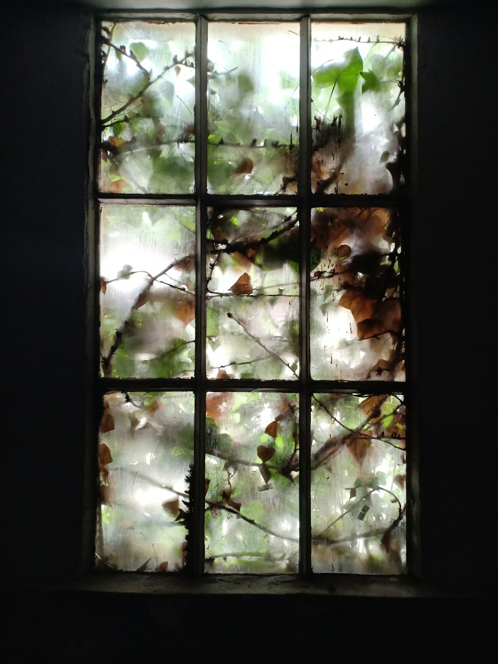 glass metal framed window
