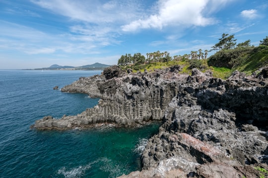 Daepo Jusangjeolli Cliff things to do in Jeju Province