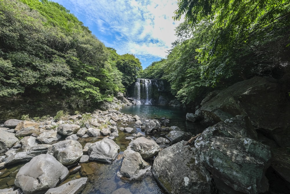 waterfalls during daytime