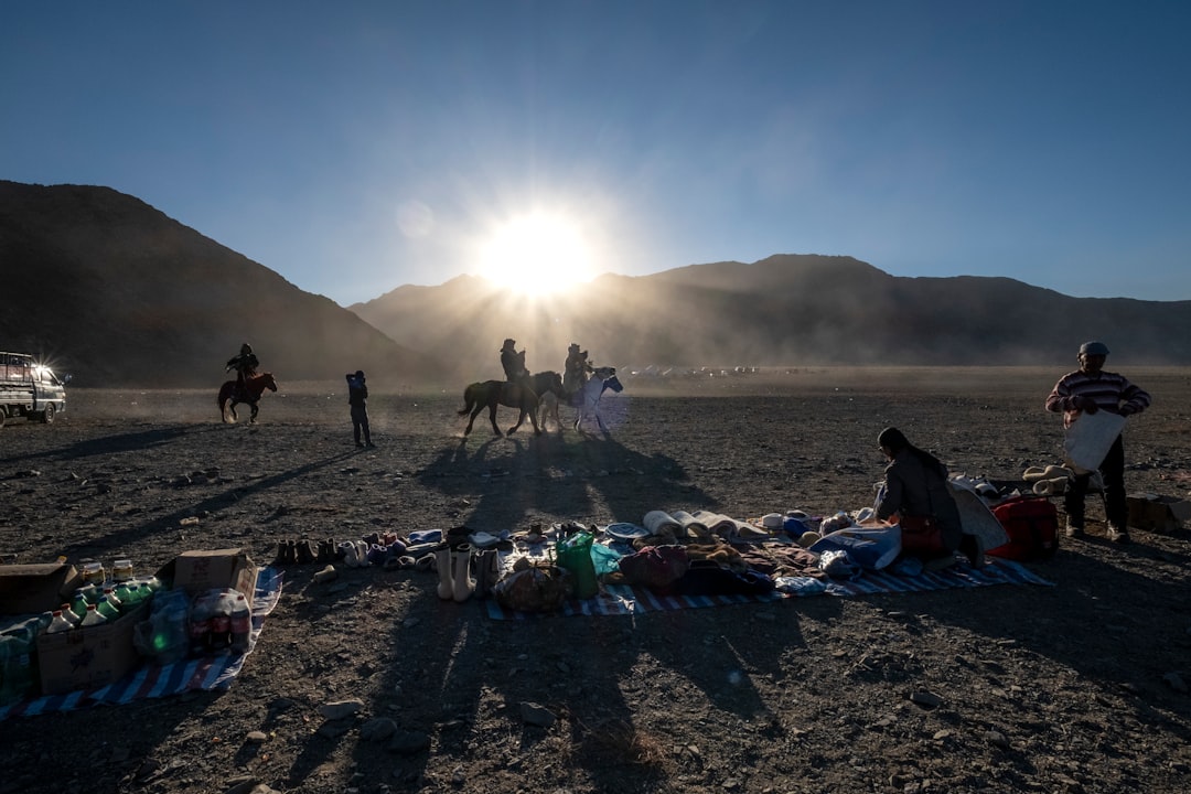 person riding horse during daytime