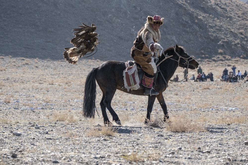 person riding on horse at the savannah