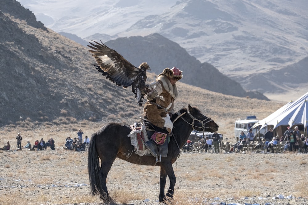man riding horse with bird on his arm
