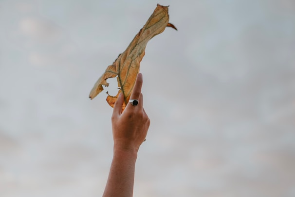 Black and white close-up of a delicate hand holding a small golden leaf, symbolic of growth and awareness.