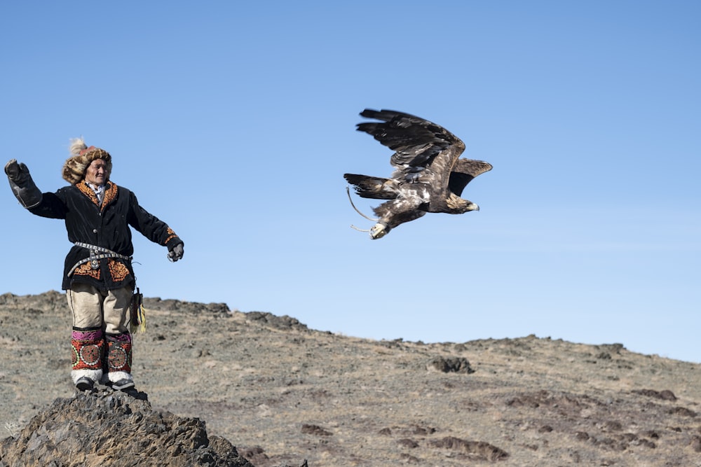 águia voadora perto da pessoa em pé na rocha