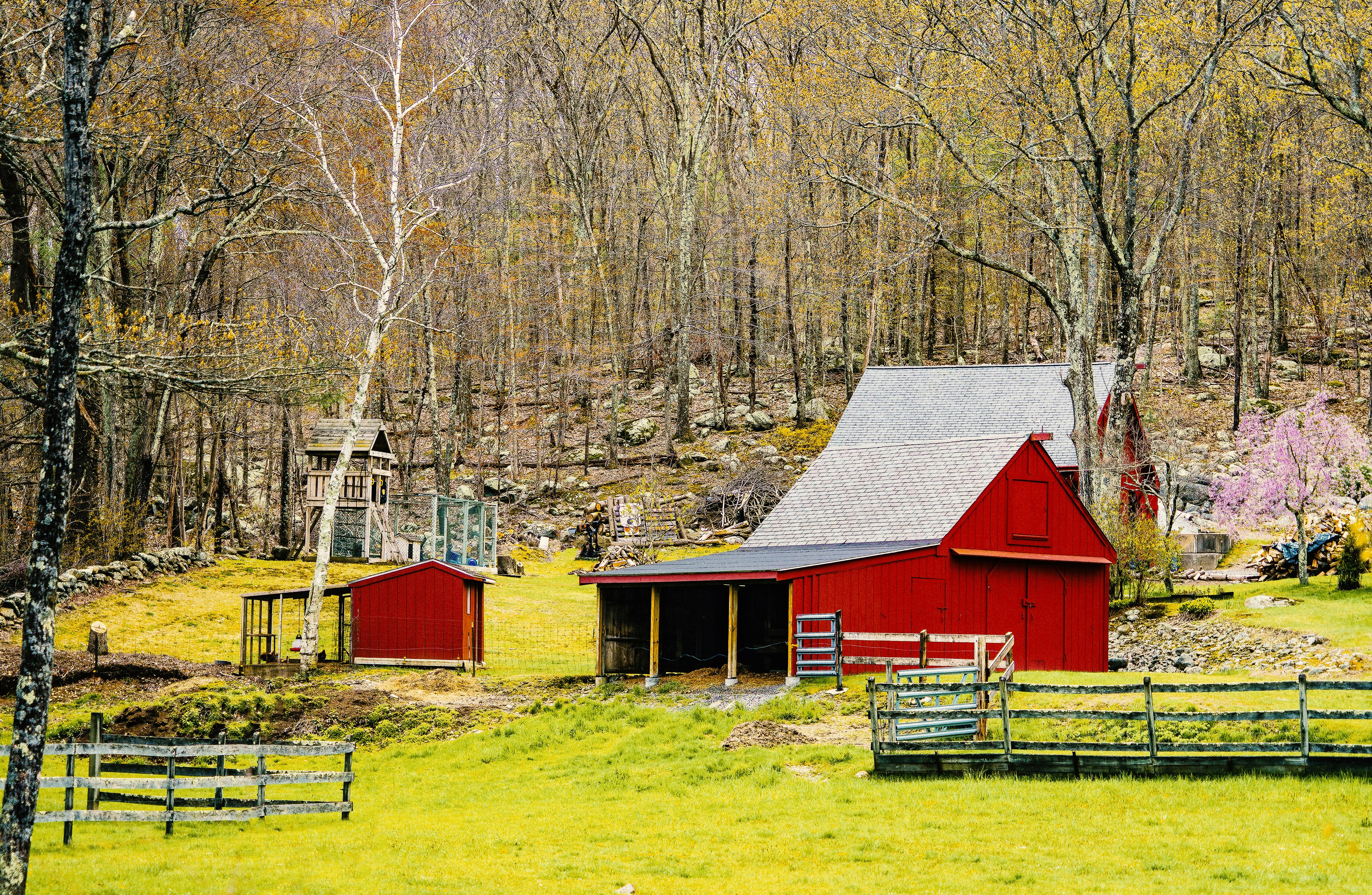 Red Wooden Barn In The Forest During Daytime Photo Free Nature Image On Unsplash