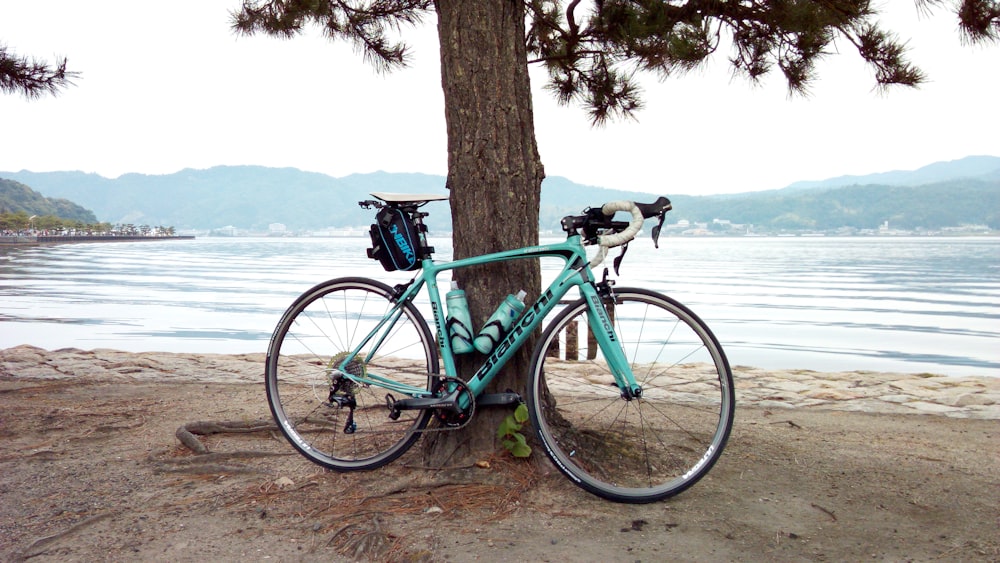 Bicicleta de carretera estacionada junto a un árbol cerca del lago durante el día