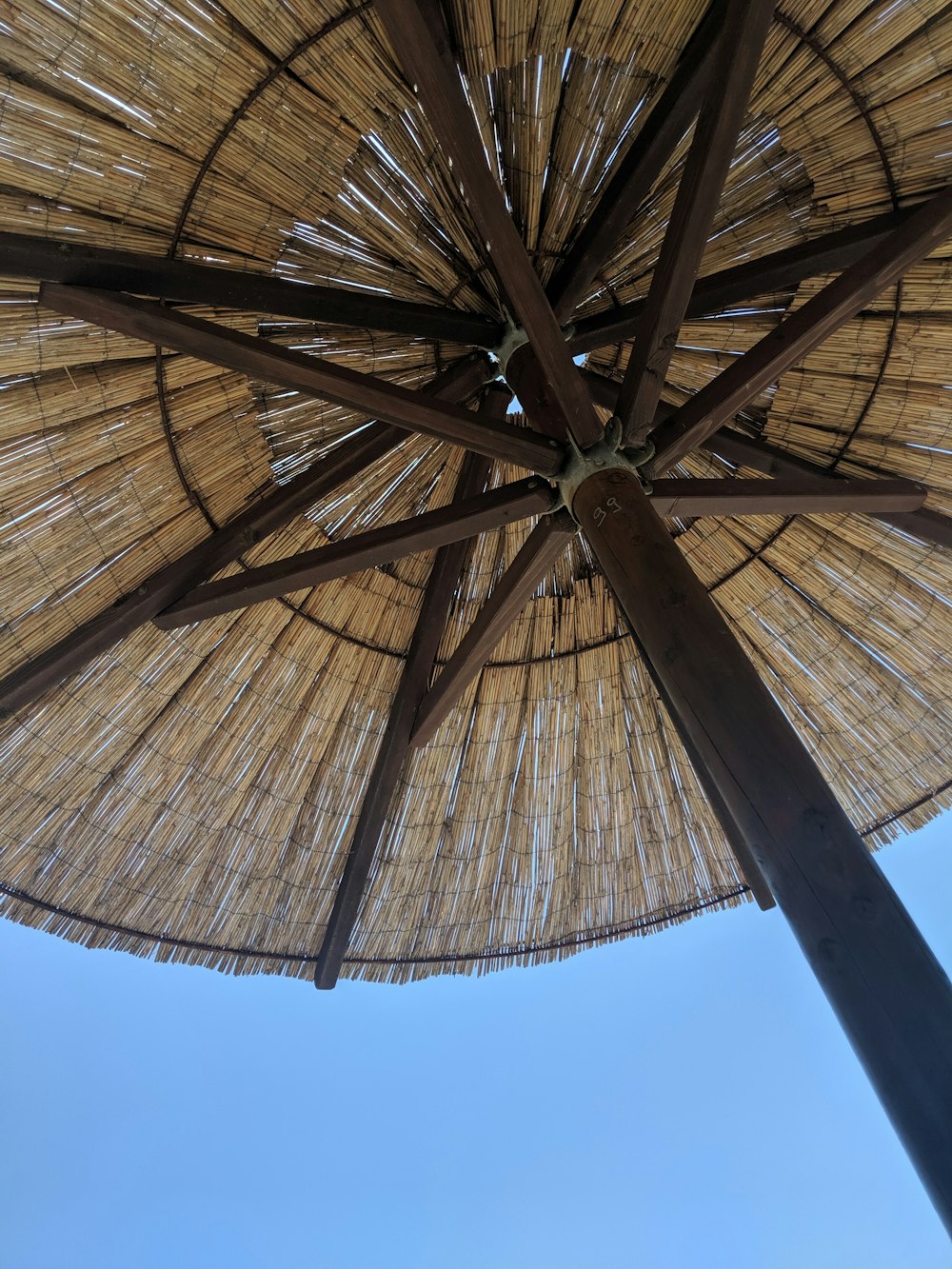 brown parasol