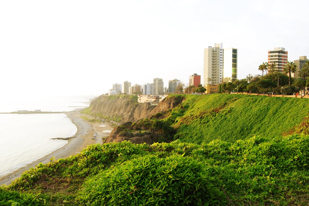 cidade durante o dia