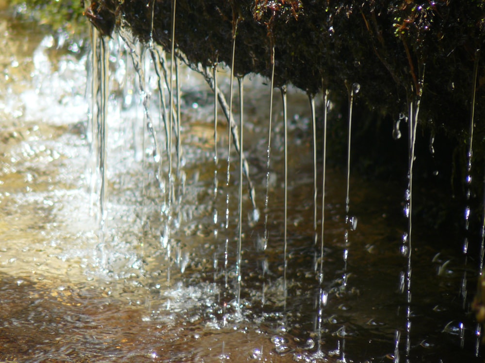 closeup photo of raindrops