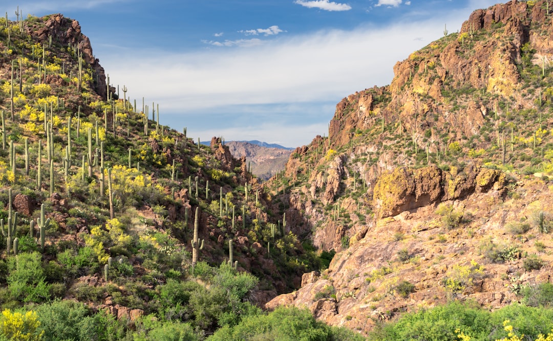From Desert Hikes to Downtown Delights: A Local&#8217;s Guide to Savoring Phoenix