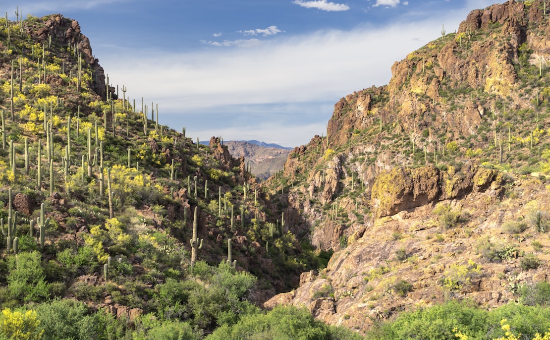 Hot spring road, Arizona