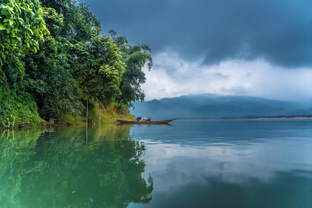 boat floating on water beside trees