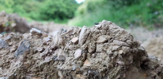 Close-up of textured ornamental rocks integrated into a lush green landscape.