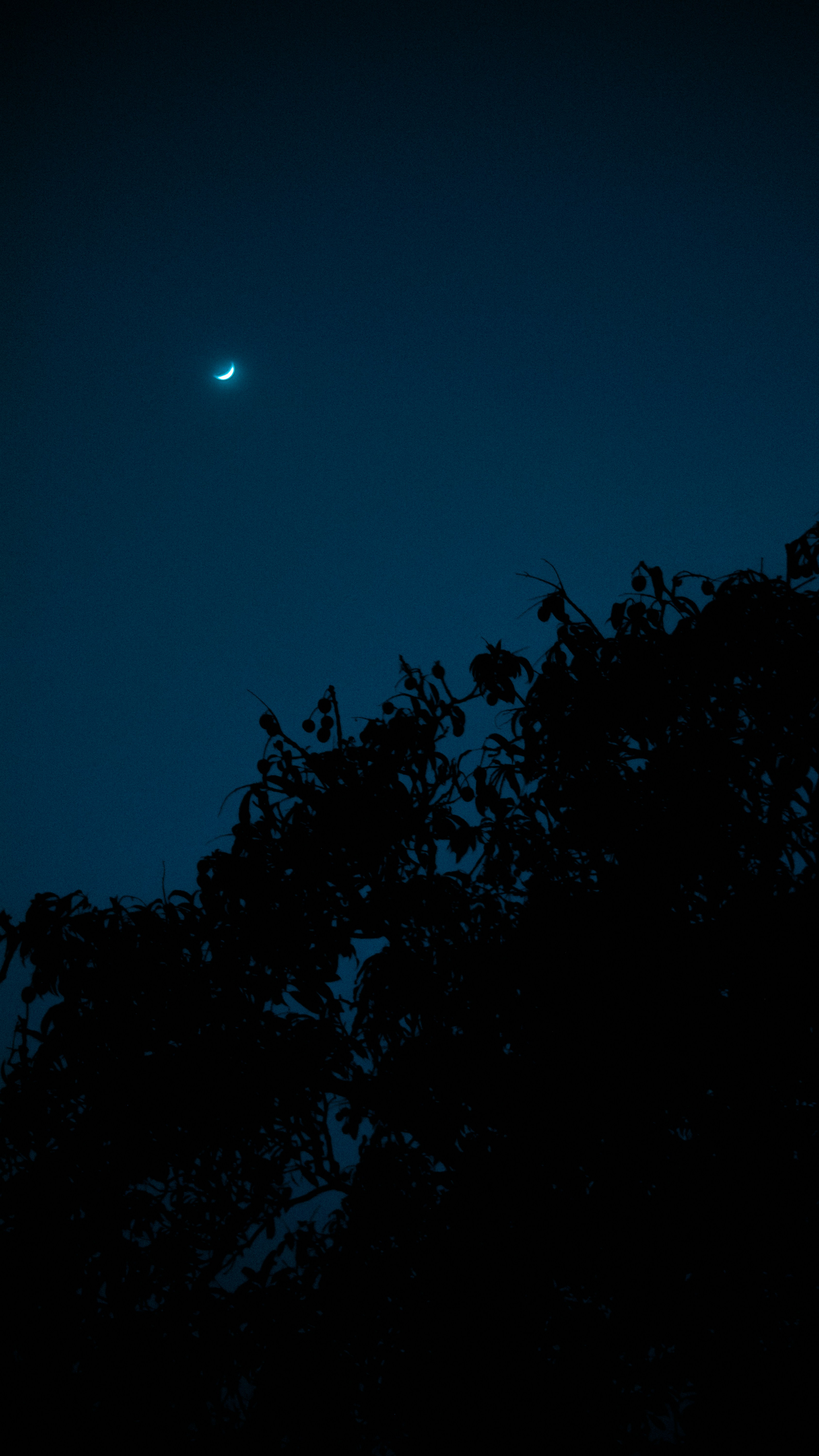 Photo by akshar_dave