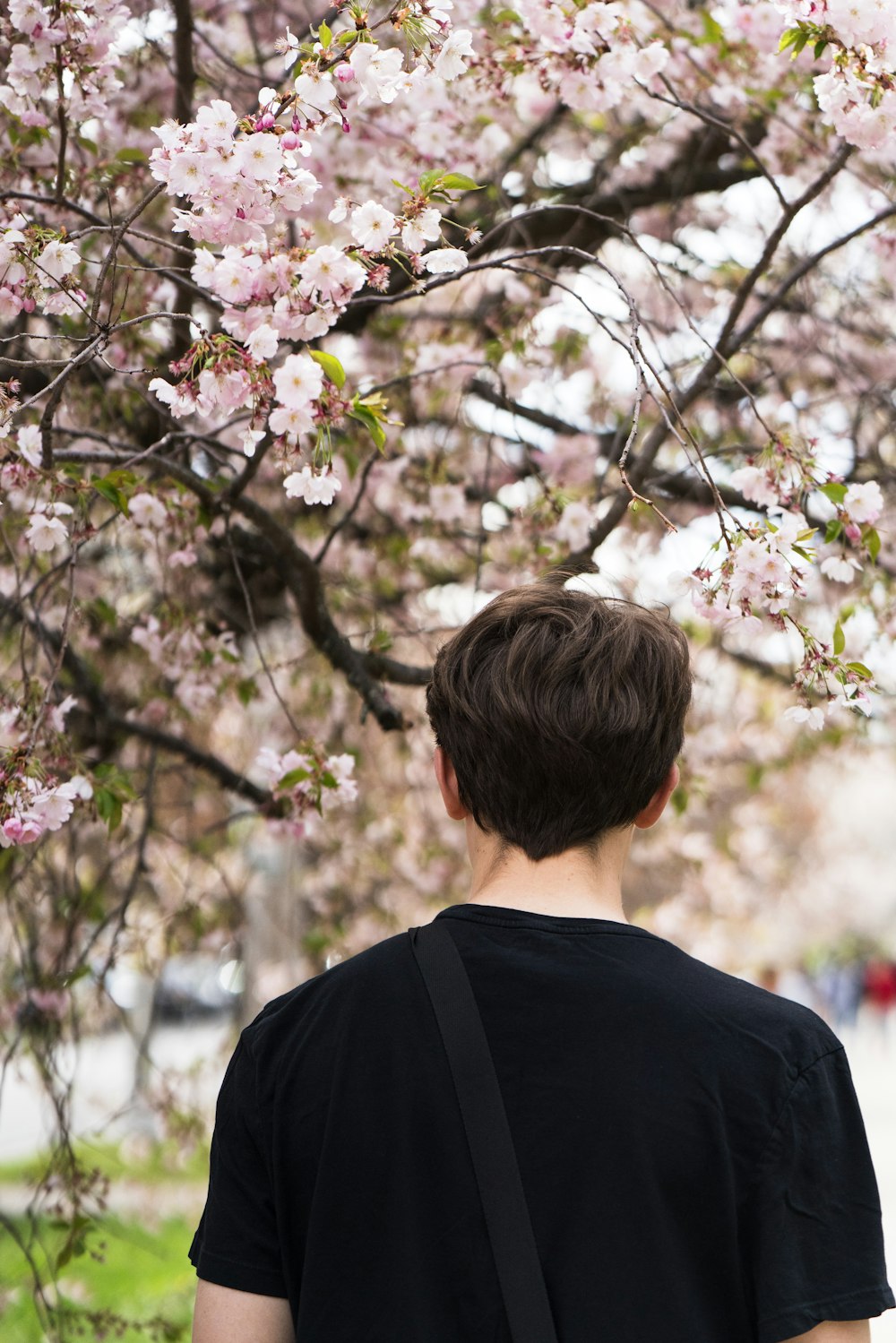 man standing near tree