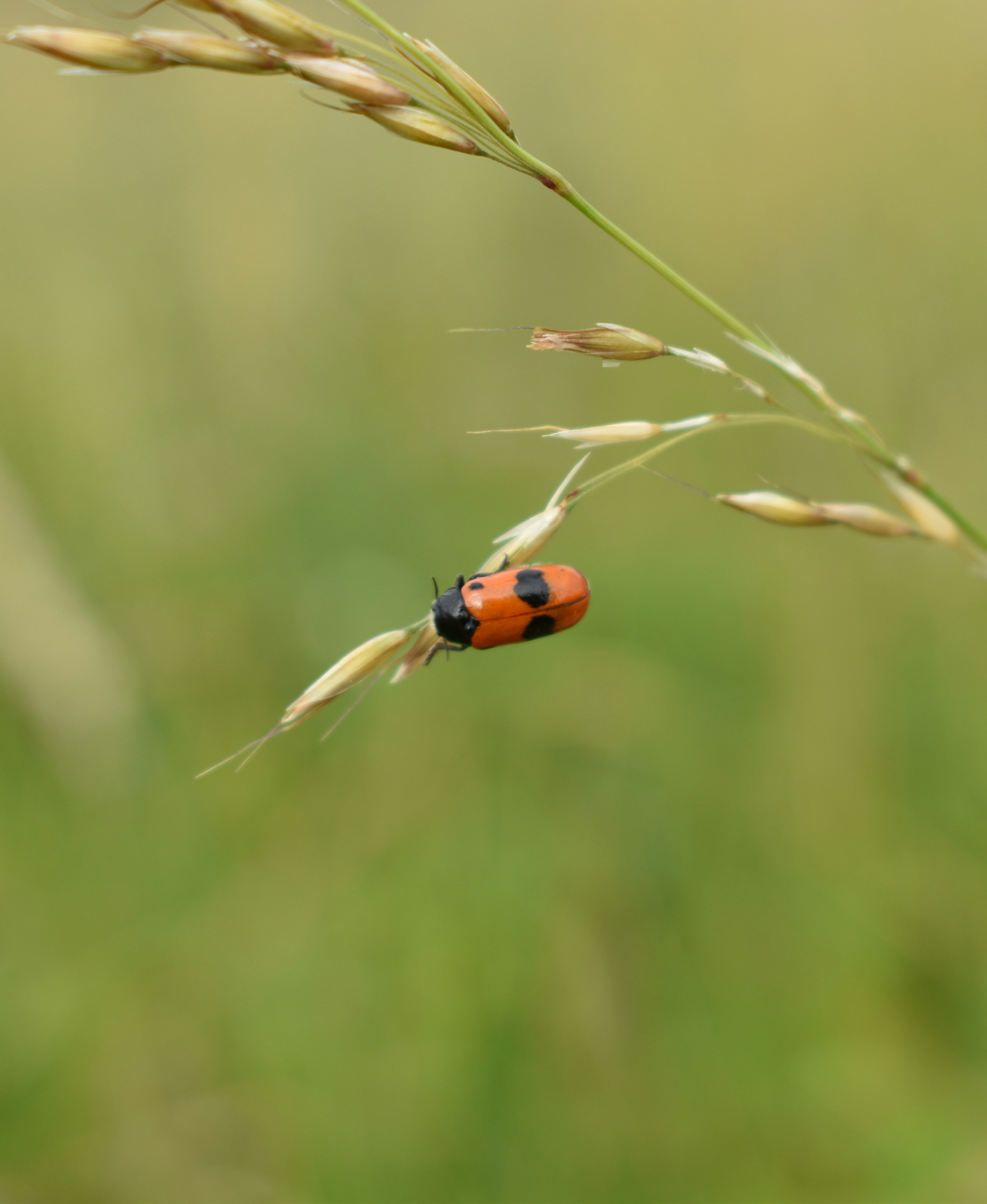 Photo by claude_rz10