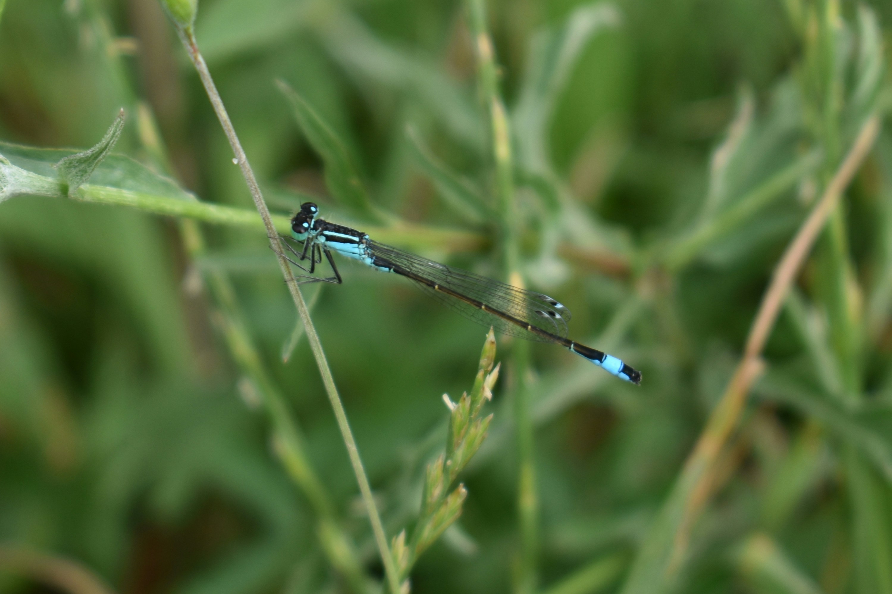 Photo by claude_rz10