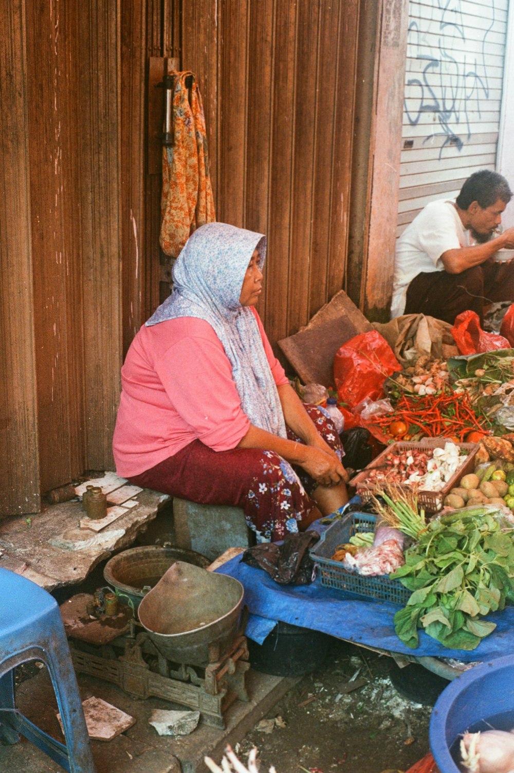 woman sitting beside folding slide gate and assorted vegetables