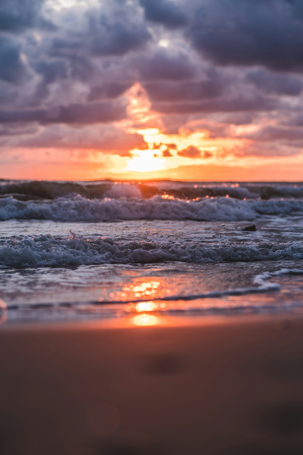 seashore during golden hour