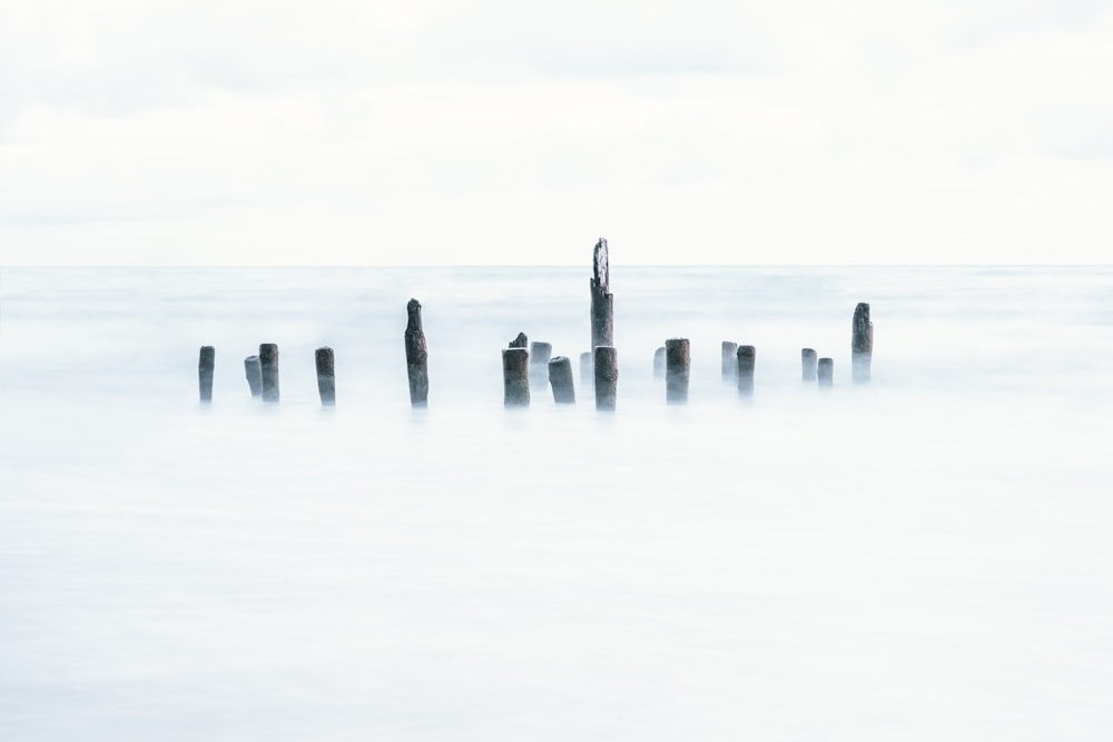 a group of poles sticking out of the water