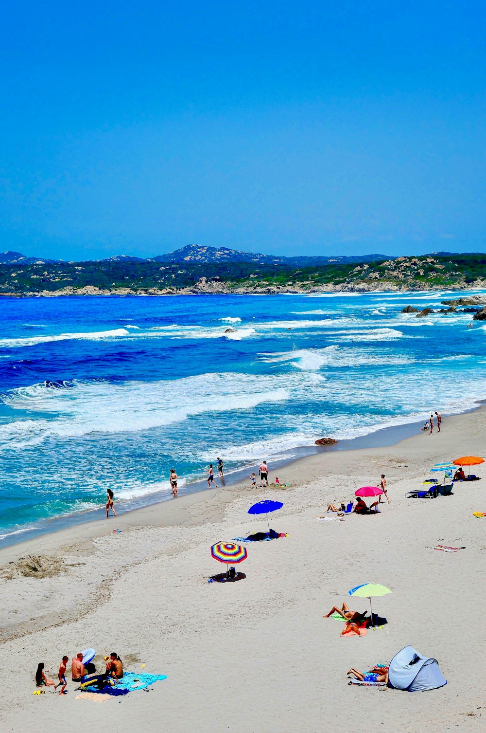 people walking on seashore during daytime