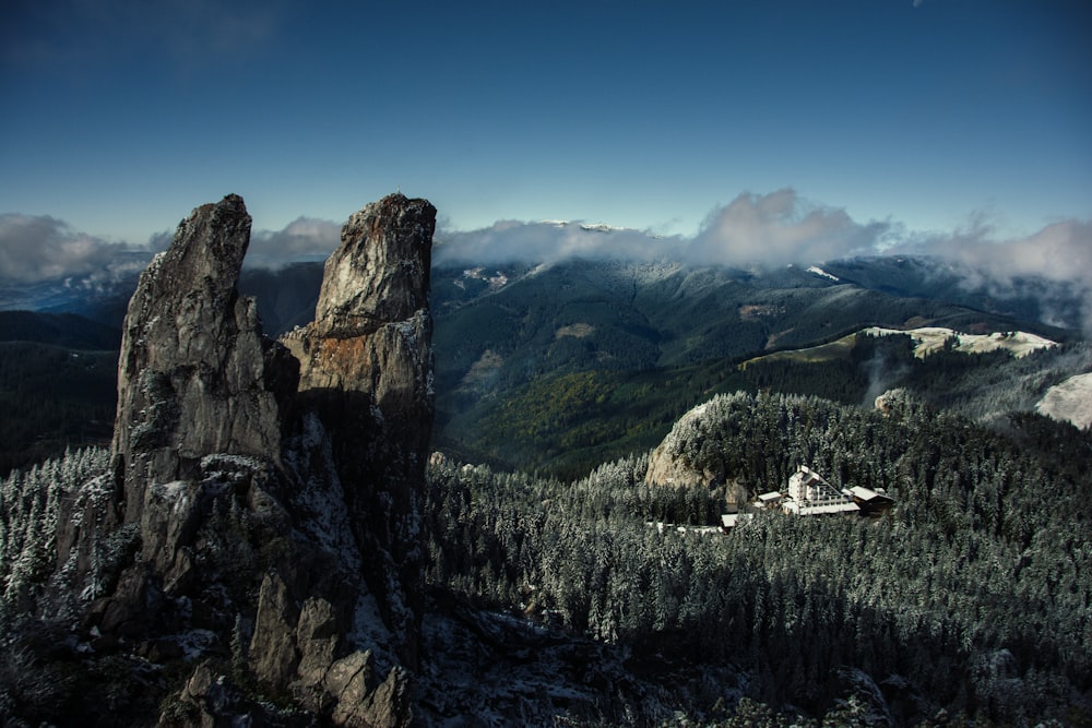 mountains and forest during day