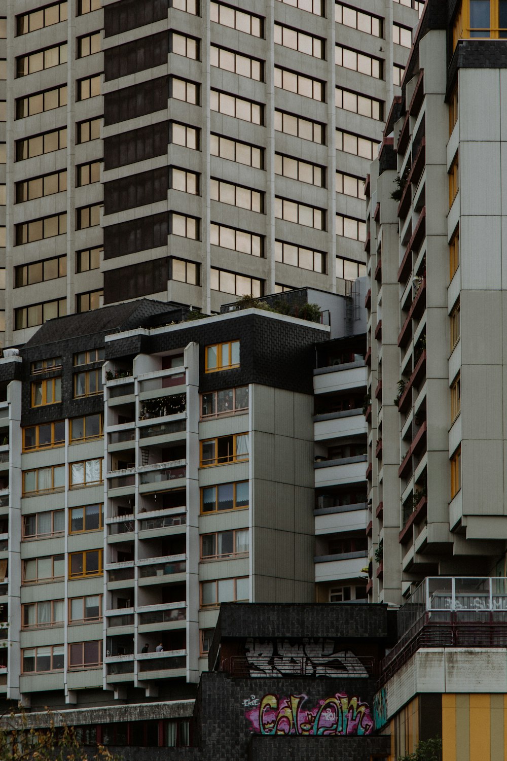 architectural photography of white and gray building