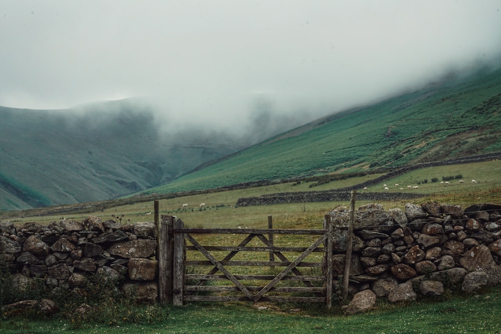 closed brown wooden gate leading to pasture