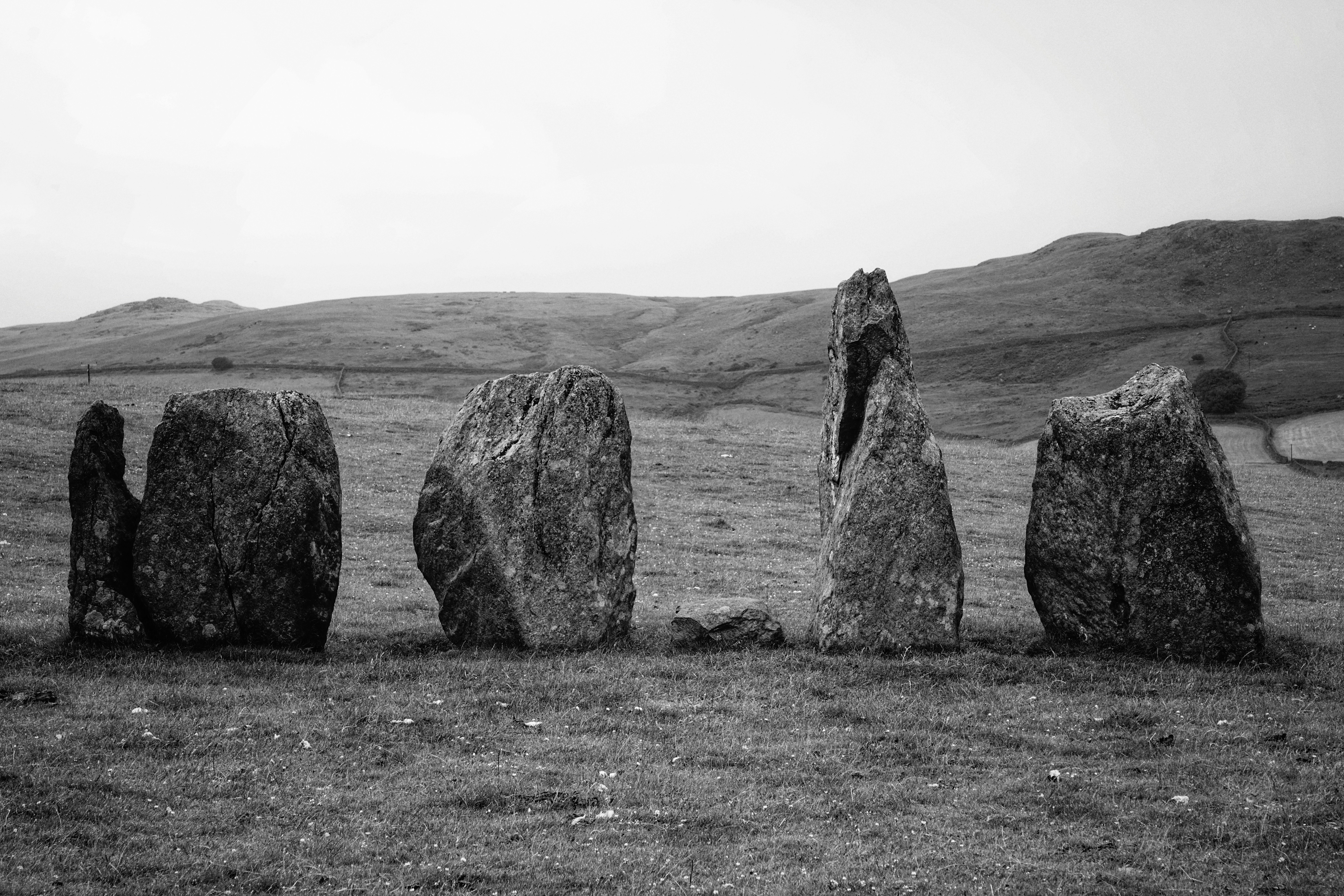 Photo by tomasrobertson