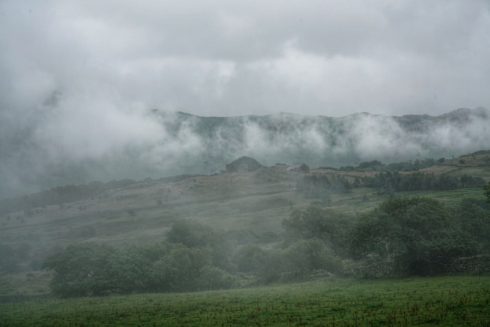 a field with a mountain in the background