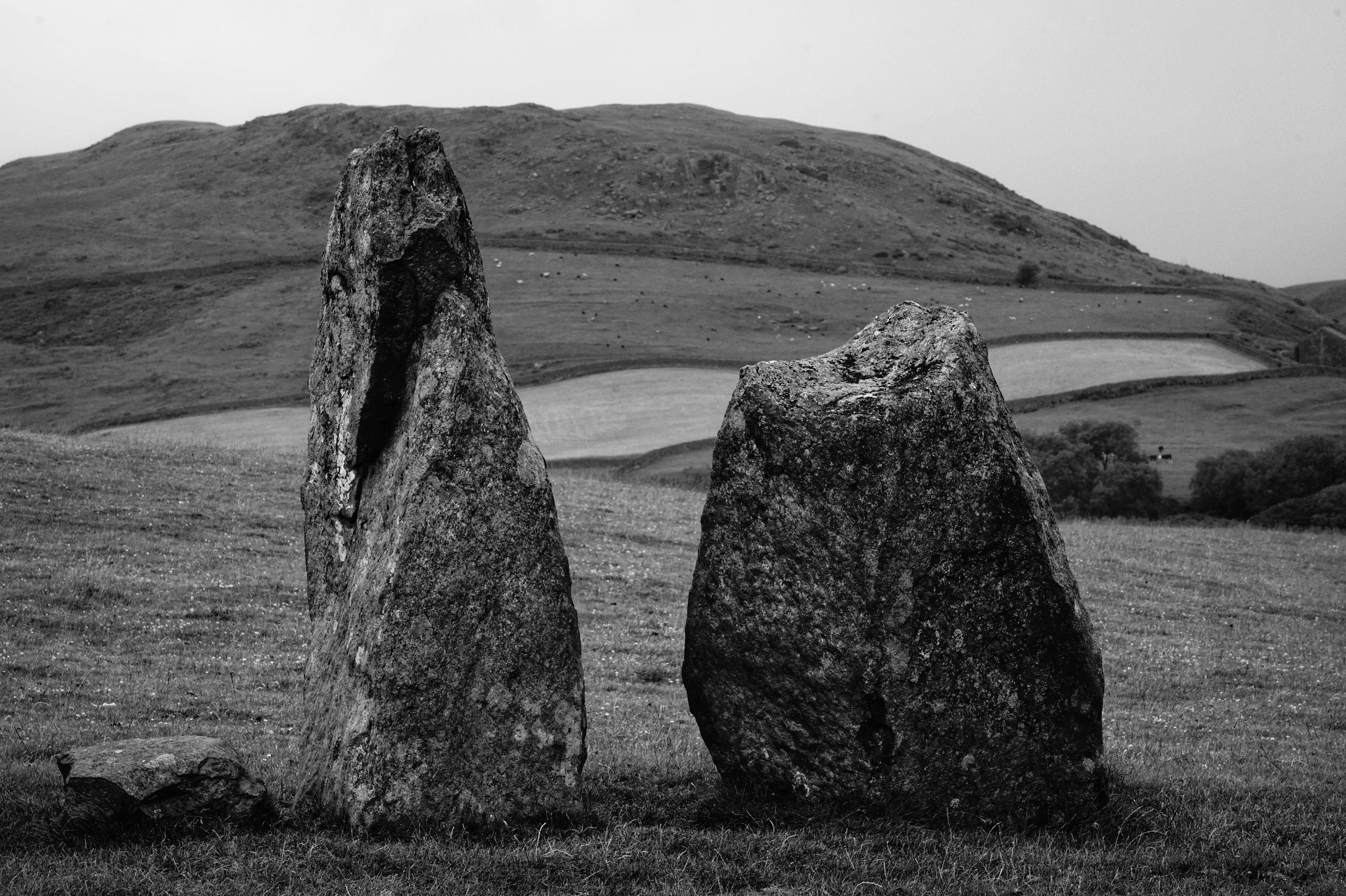 Photo by tomasrobertson