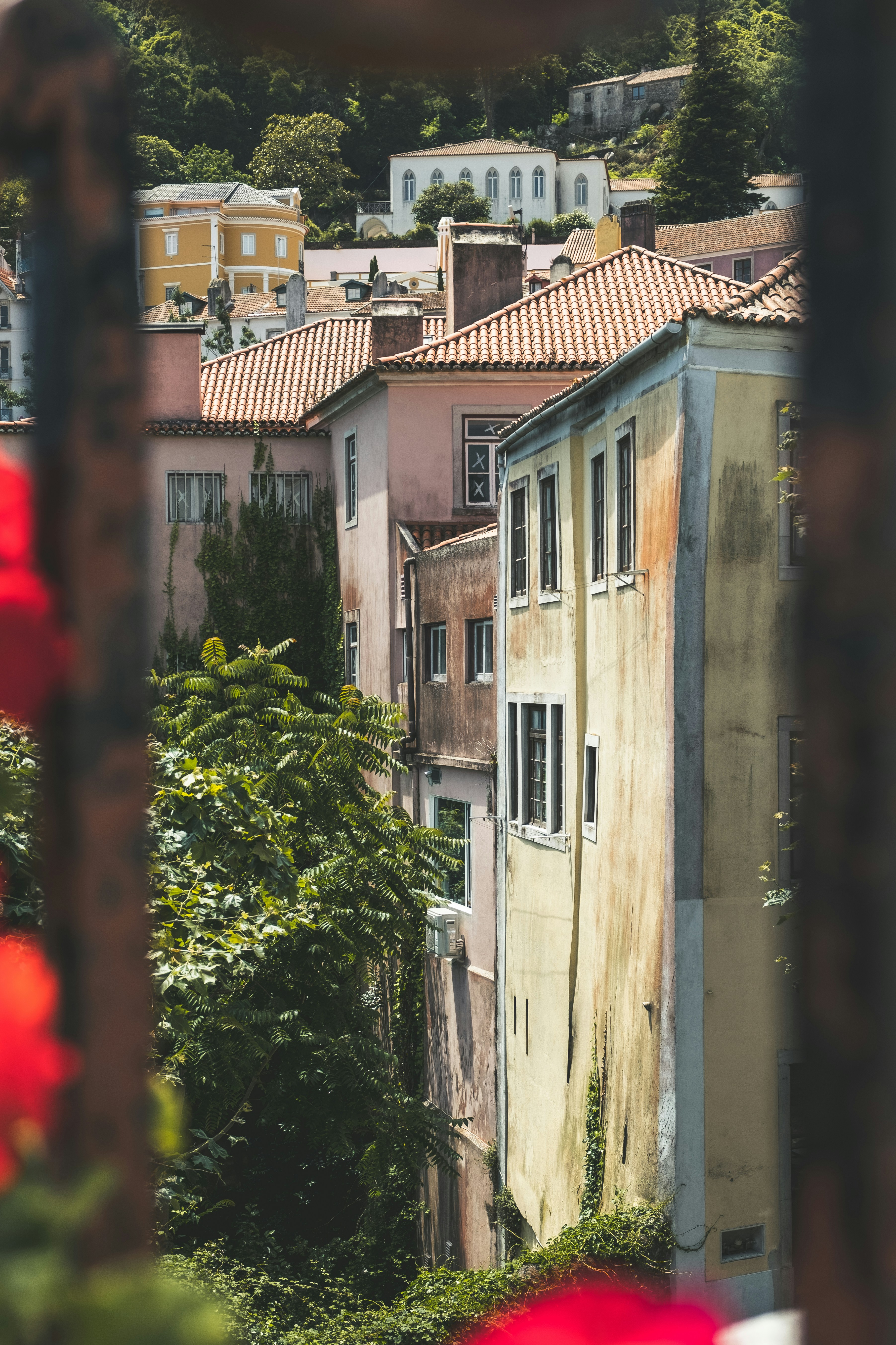 Photo by sanderlenaerts