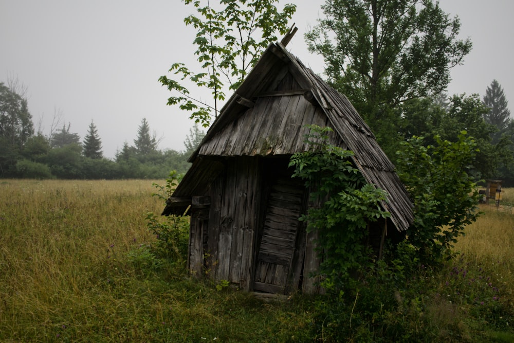 brown wooden cottage in middle of field