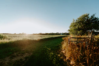 A serene rural landscape in Buenos Aires with green fields and a rustic fence at sunset.