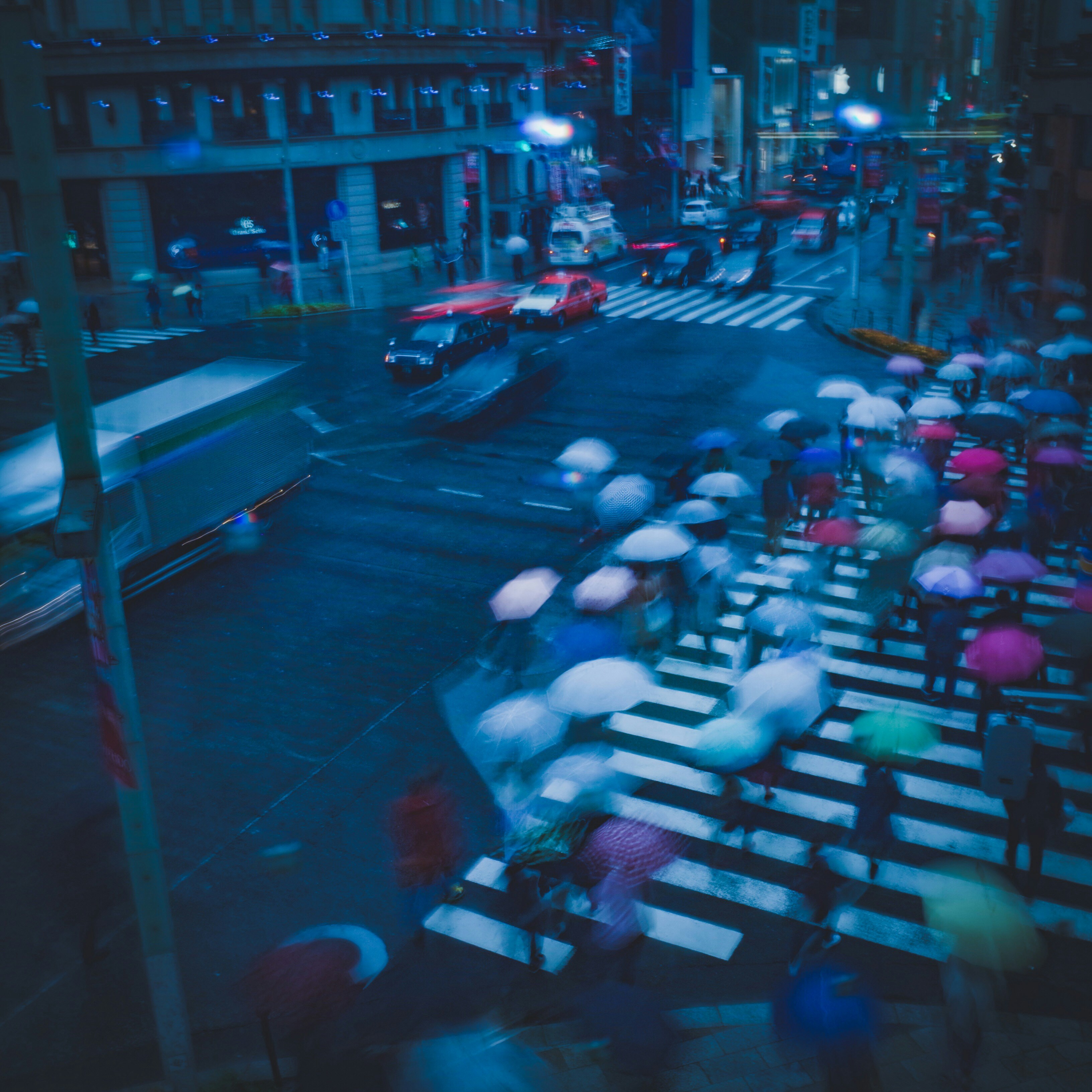 people on road
