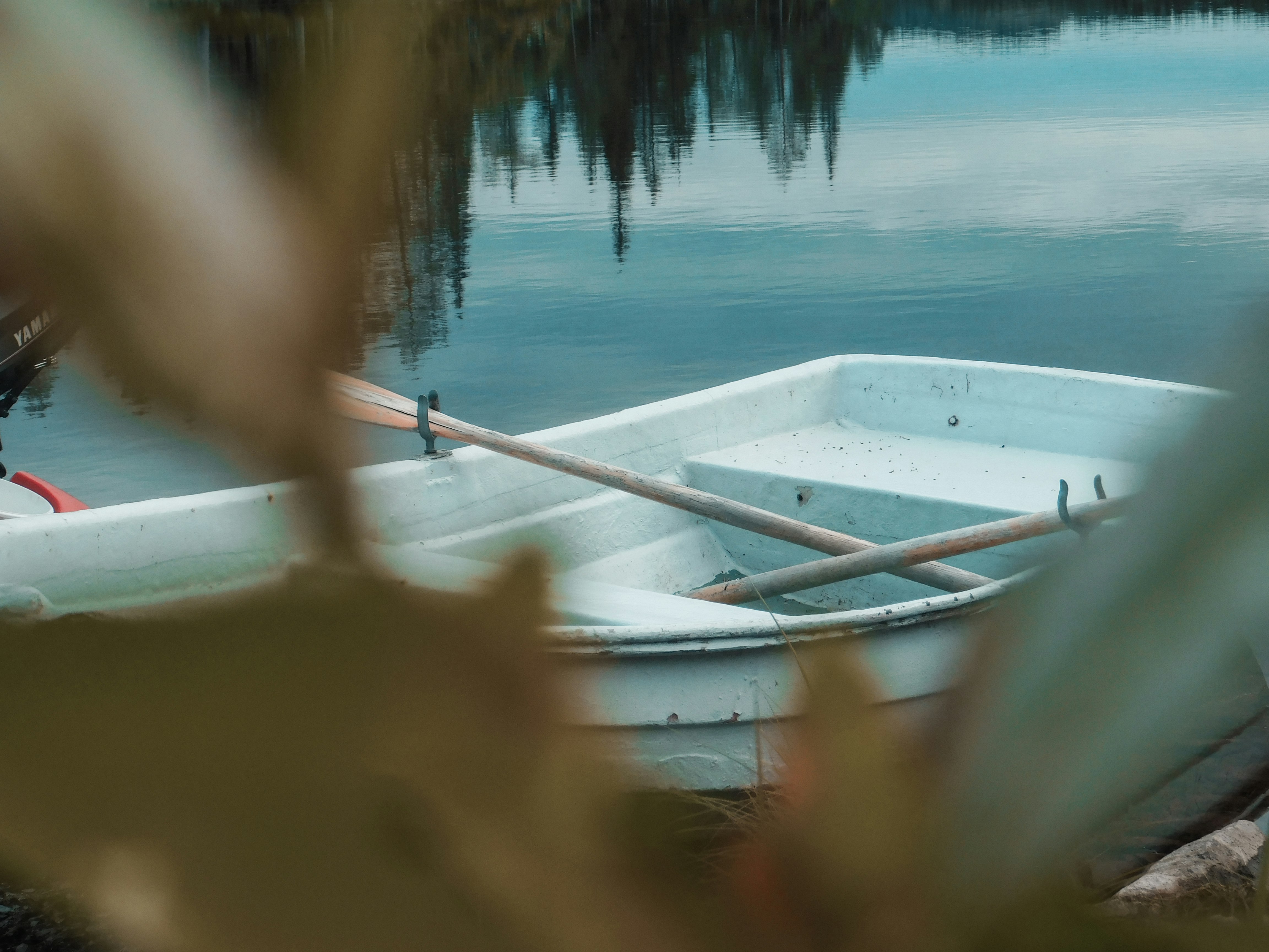 white boat near tree