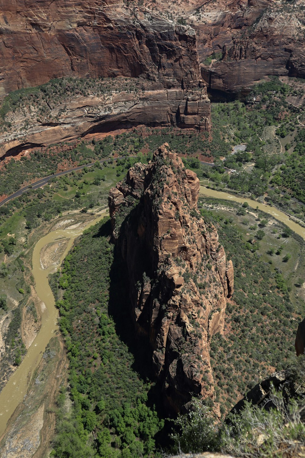 rock formation and green plants in aerial photography